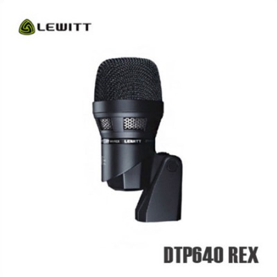 LEWITT DTP640 REX (킥드럼)